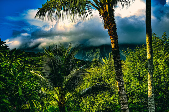Oahu Hawaii at 6 am. 