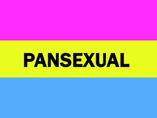 The word Pansexual. Vector banner. Pansexual pride flag. LGBTQ. Symbol of Pansexual.