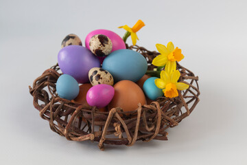 A closeup shot of Easter eggs and a narcissus flowers in a nest against a light background
