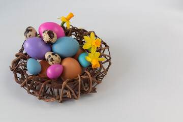 A closeup shot of Easter eggs and a narcissus flowers in a nest against a light background with a copy space