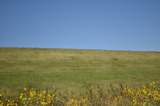 blue sky green grass