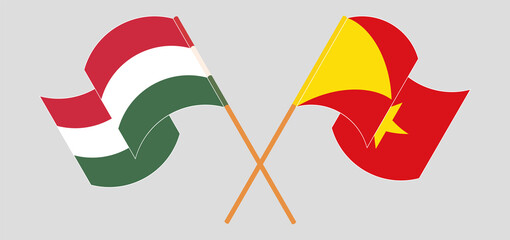 Crossed and waving flags of Hungary and Tigray
