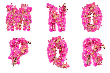 Letters of the alphabet consisting of flowers of pink orchids
