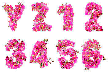 Alphabet letters and numbers decorated with pink orchid flowers