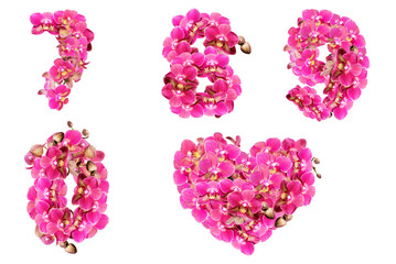 Numbers 7 8 9 0 decorated with flowers of pink Phalaeonopsis orchids