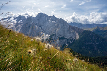 Mountain meadow in the background of the Marmolada massif in the Dolomites. Italy.