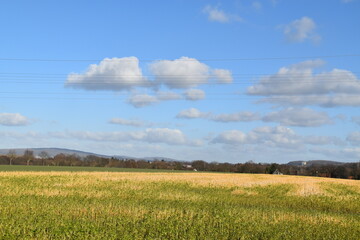 Obraz premium field and blue sky