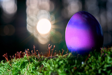 1 blue purple Easter egg in the nature. Organic product on mossy tree stump in forest. Bright sun rays in depth blur.