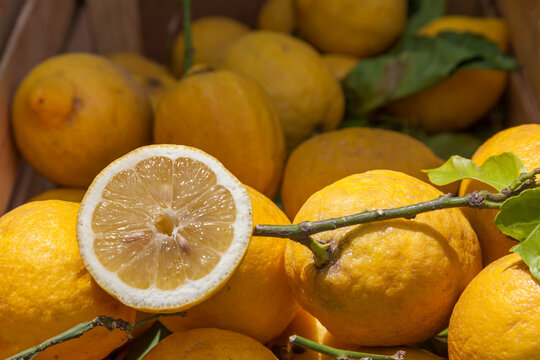 Zitronen (Citrus × limon), Marktverkauf