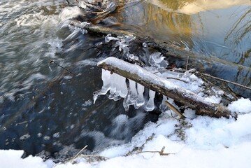 Spring snow melting, a walk through the forest.