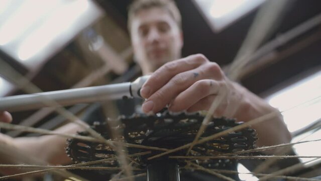Mechanic repairing bicycle wheel in workshop