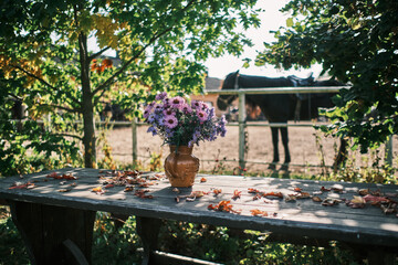 Beautiful flowers in a vase in the garden with a strong sun light and a horse on a background