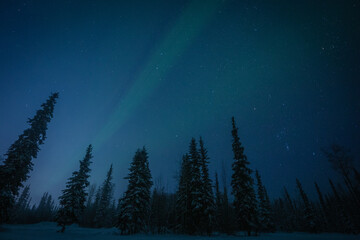 Fototapeta premium Aurora in Alaska