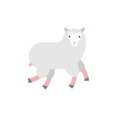 Sheep isolated. Lamb cartoon. Farm animal Vector illustration