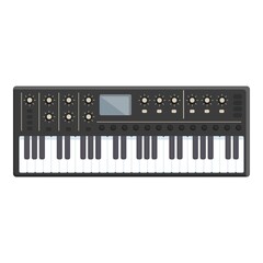 Acoustic synthesizer icon cartoon vector. Piano keyboard. Audio instrument