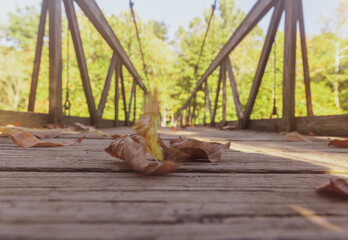 wooden bridge in the forest