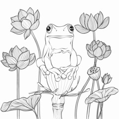 Zentangle stylized cartoon frog sitting among  flowers. Sketch for adult antistress coloring page. Hand drawn doodle, zentangle, floral design elements for coloring book.