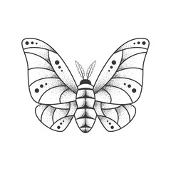 Sketch tattoo of outline insect. Isolated linear vector illustration of butterfly on a white background. Moth image stylized as angraving