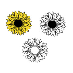 Sunflower flowers drawing and outline. Set of blooming flowers. Black and white illustration on white background. Floral monograms