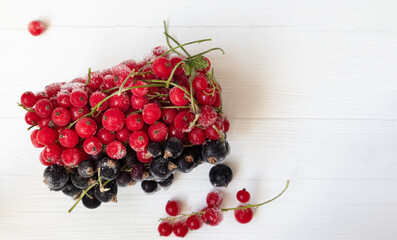 Frozen red and black currants in on a light background . The concept of preparing products for use in the future.