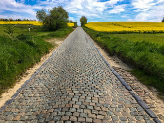 cobblestone road through a field of yellow canola rapeseed flowers under a deep blue sky, Belgium, Europe