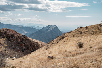 landscape with mountains in spring