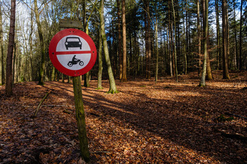 Naklejka premium Leuvenumse bossen, Hulshortserzand