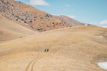 sand dunes in the desert