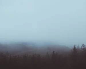 Fotobehang Donkergrijs Prachtig uitzicht op een mistig bos