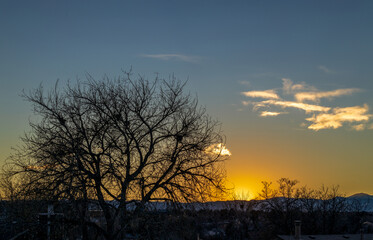An incredibly beautiful winter sunset against the tree branches in Colorado