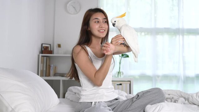Happy Asian woman playing with her pet Cockatoo parrot on the bed in the morning
