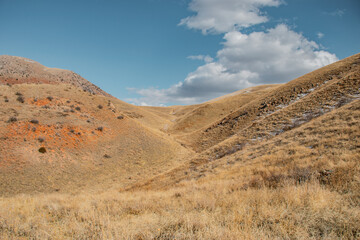 landscape in the big desert