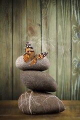 Harmony of Life Concept. Butterfly on the Pebble Stone Stack. Metaphor of Balancing Nature and Technology.
