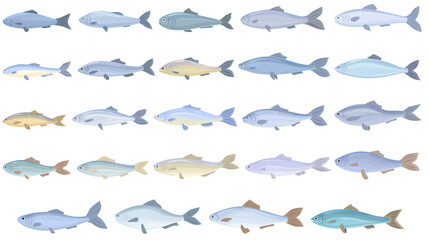 Herring icons set cartoon vector. Cod fish. Water trout © nsit0108