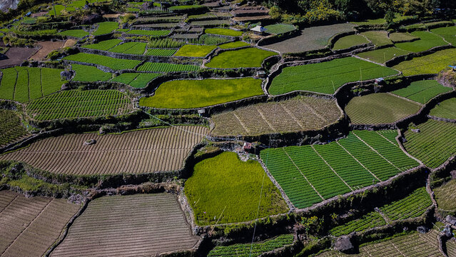 Bird's eye view of farm lands rice paddies vegetable gardens in Kabayan Benguet Philippines