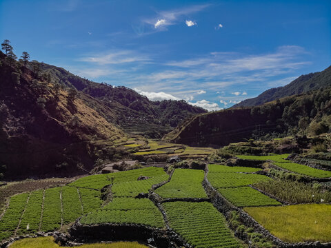 Scenic Aerial Mountainous Valley with rice farms paddy terrace gardens Kabayan, Benguet Philippines