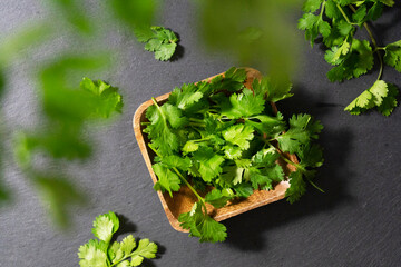 Koriander Coriander Asia Kräuter Herbs Food 