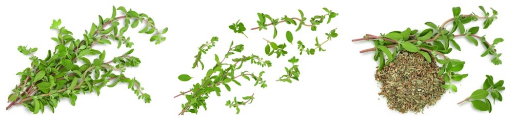 Oregano or marjoram leaves fresh and dry isolated on white background. Top view. Flat lay. Set or collection