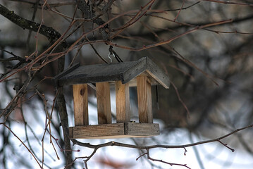wooden bird feeder in the form of a house
