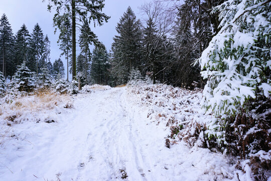 verschneite Winterlandschaft im Hils bei Delligsen