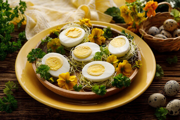 Easter hard-boiled eggs, divided into halves with herbs and sprout served with on a decorated plate, close up view. Easter food - 490165170