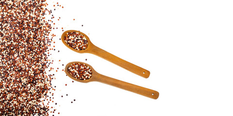 Chenopodium quinoa - Mix of red, white and brown quinoa in two spoons