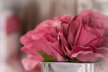bouquet of pink roses