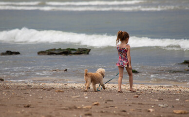 Girl and her pet strolling along the beach on a beautiful summer's day