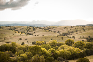 Hilly autumn landscape in the semi desert of Chihuahua Mexico