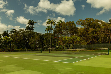 Large green tennis court with palm trees on Glitter Bay, Barbados