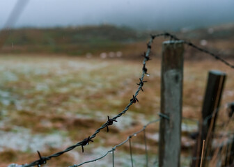 Close-up shot of a metallic wire with some thorns in a rainy weather.
