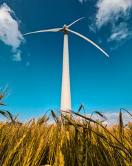 wind turbine in a field of wheat