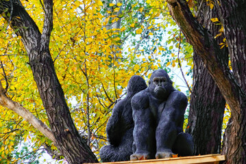 Statues of orangutans in the forest and the colorful autumn scenery