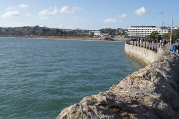 SONY DSC